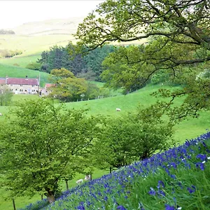 Holiday home Bluebells, Chop Gate